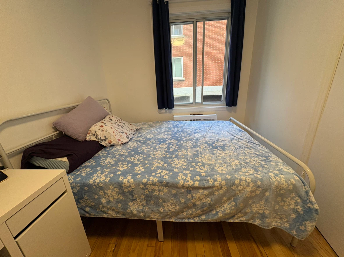 White Metal Bed Frame
