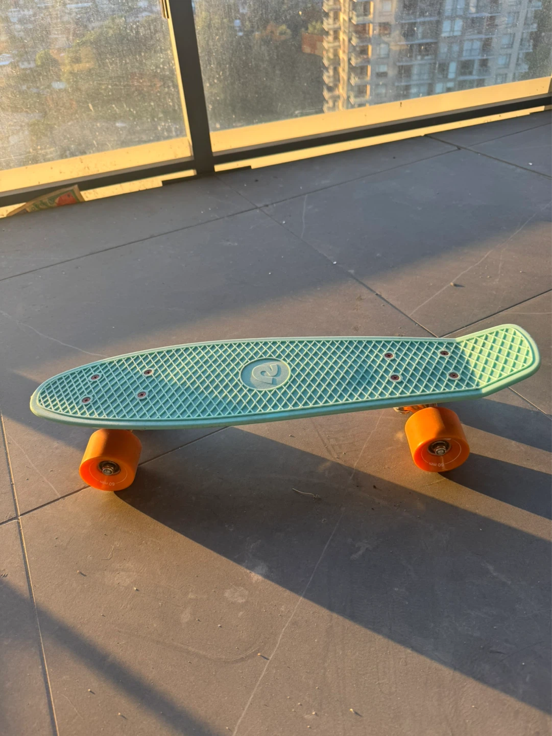 Penny Board Skateboard
