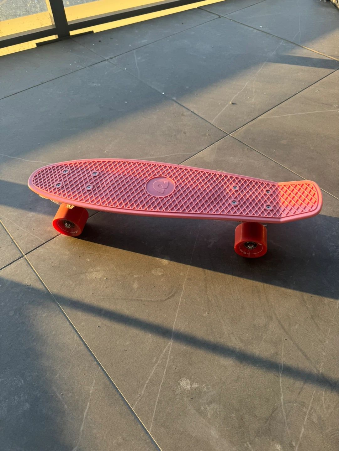 Penny Board Skateboard