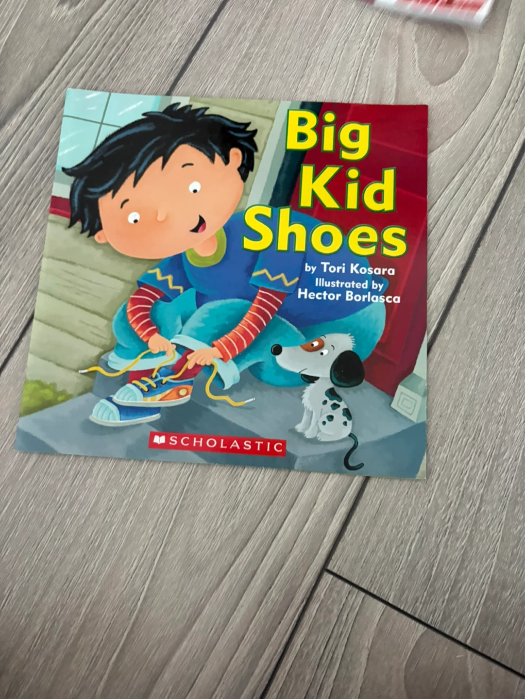 Big Kid Shoes Book by Tori Kosara⚽️