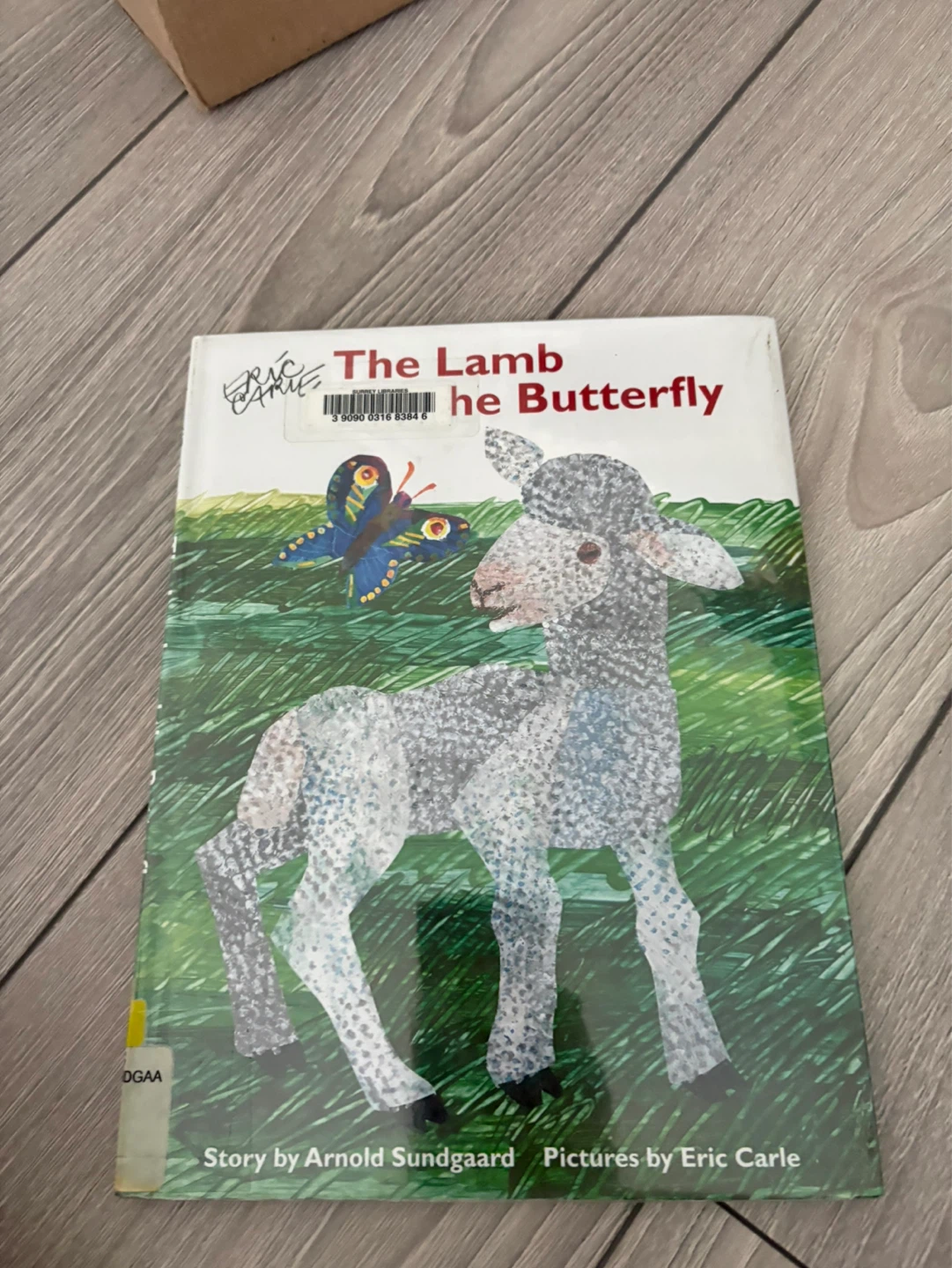 The Lamb and the Butterfly Story Book⚽️
