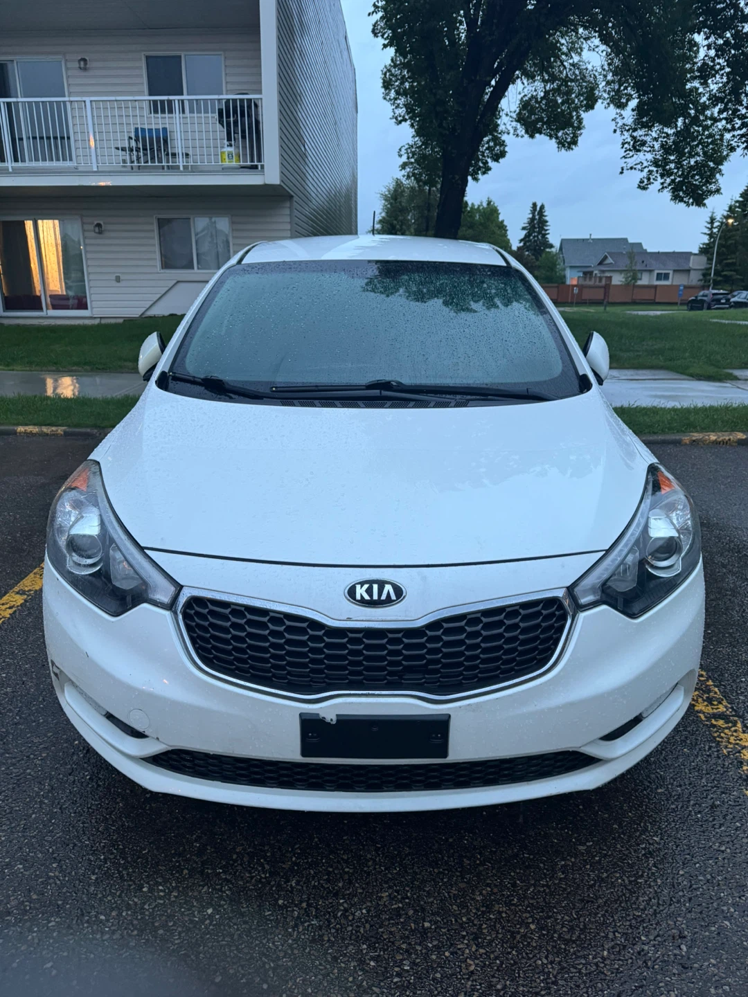 White Kia Forte 5-Door Hatchback