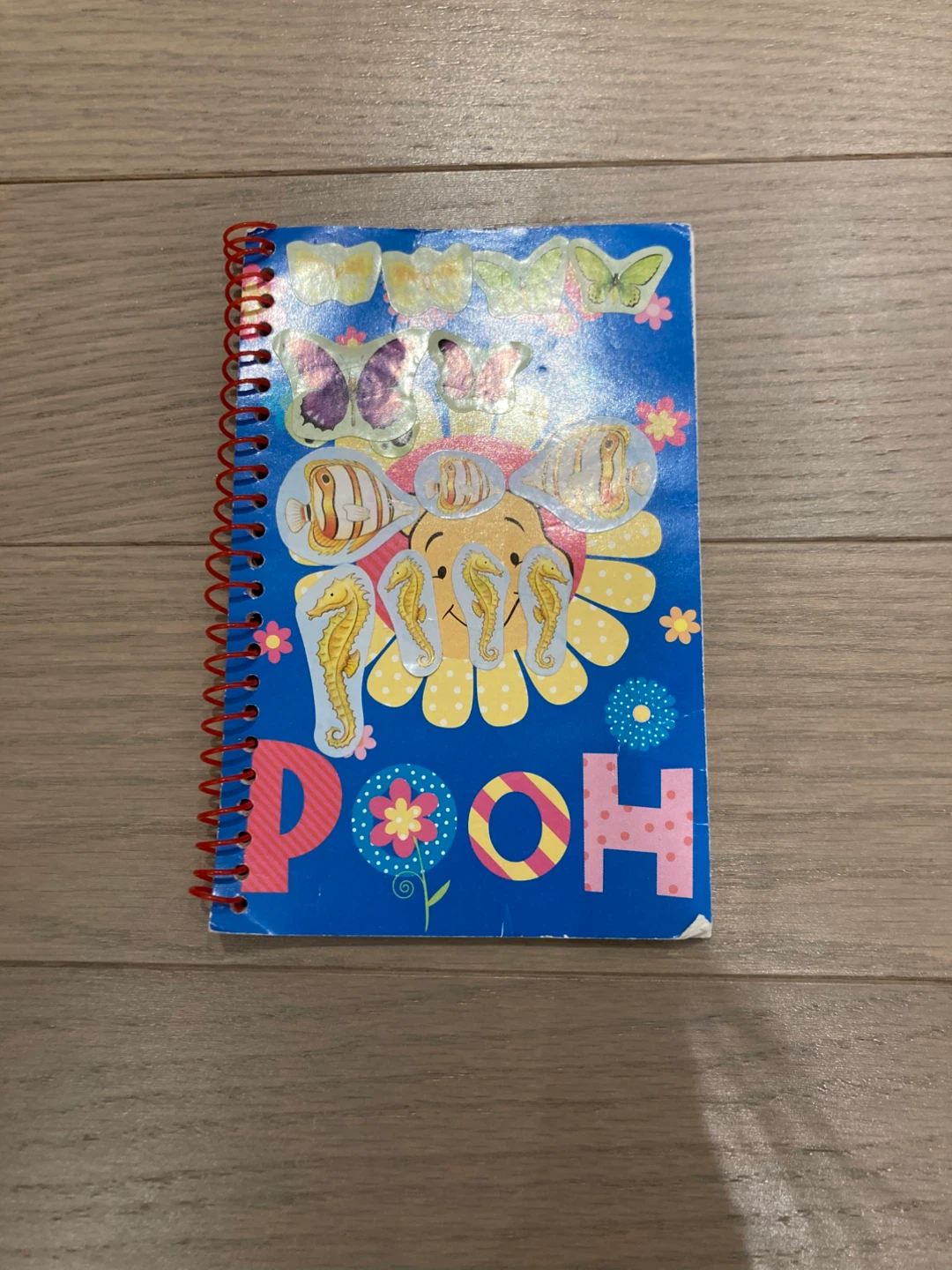 ⚽️Winnie the Pooh Spiral Notebook
