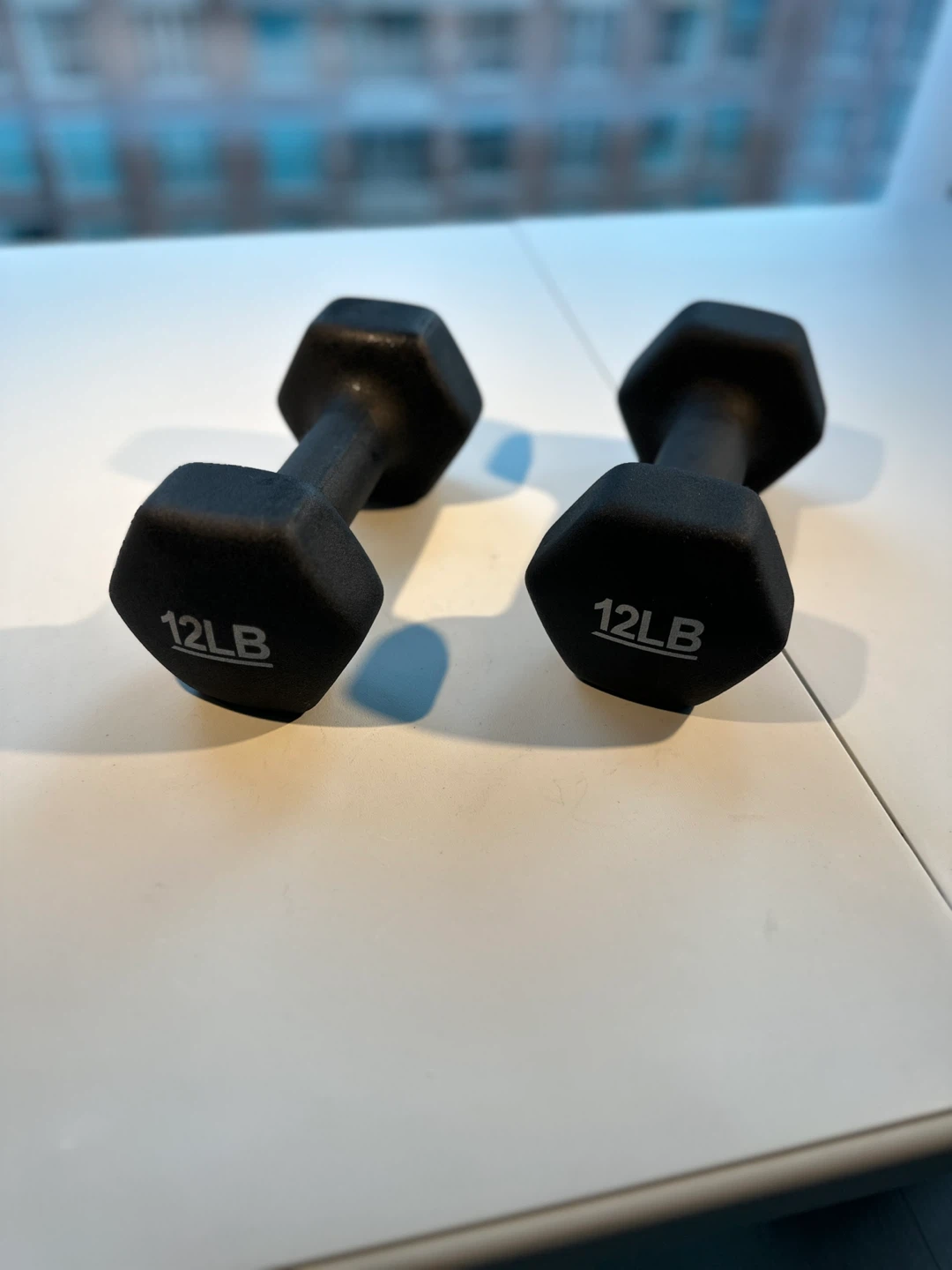2 x 12lb Dumbbells - Black