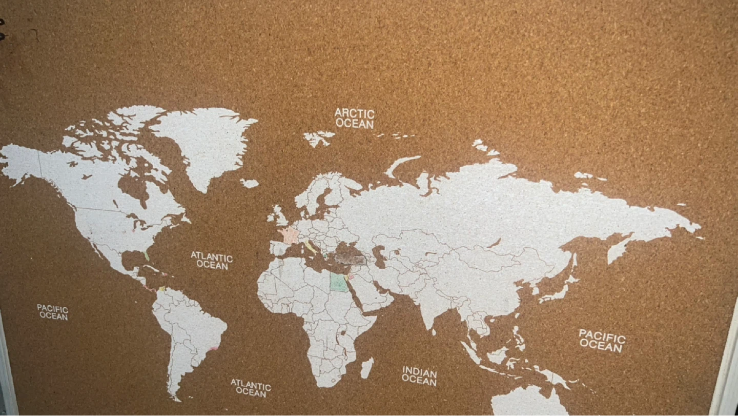 Cork World Map Bulletin Board - photo 2