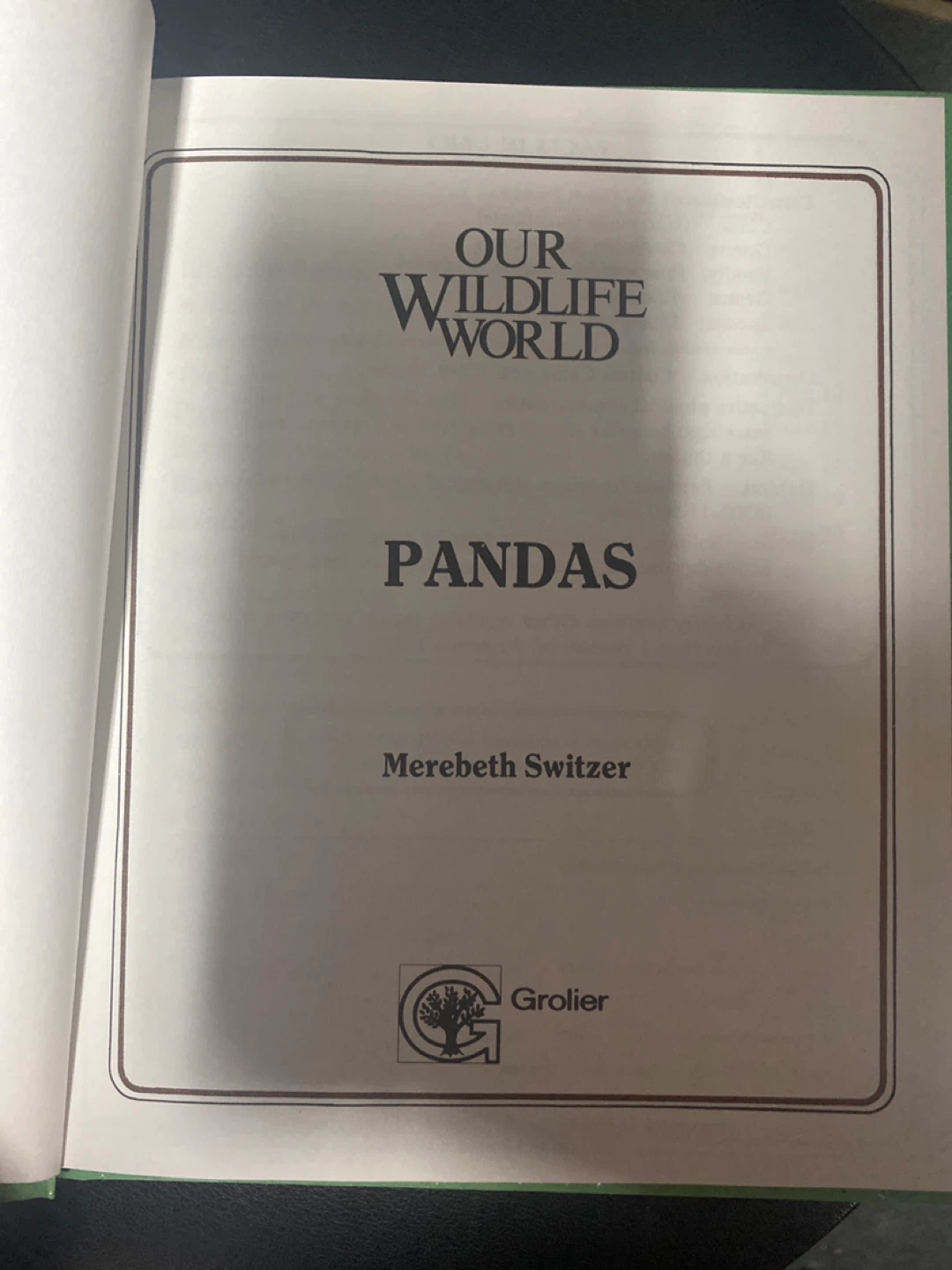 Our Wildlife World ⚽️ Pandas Book