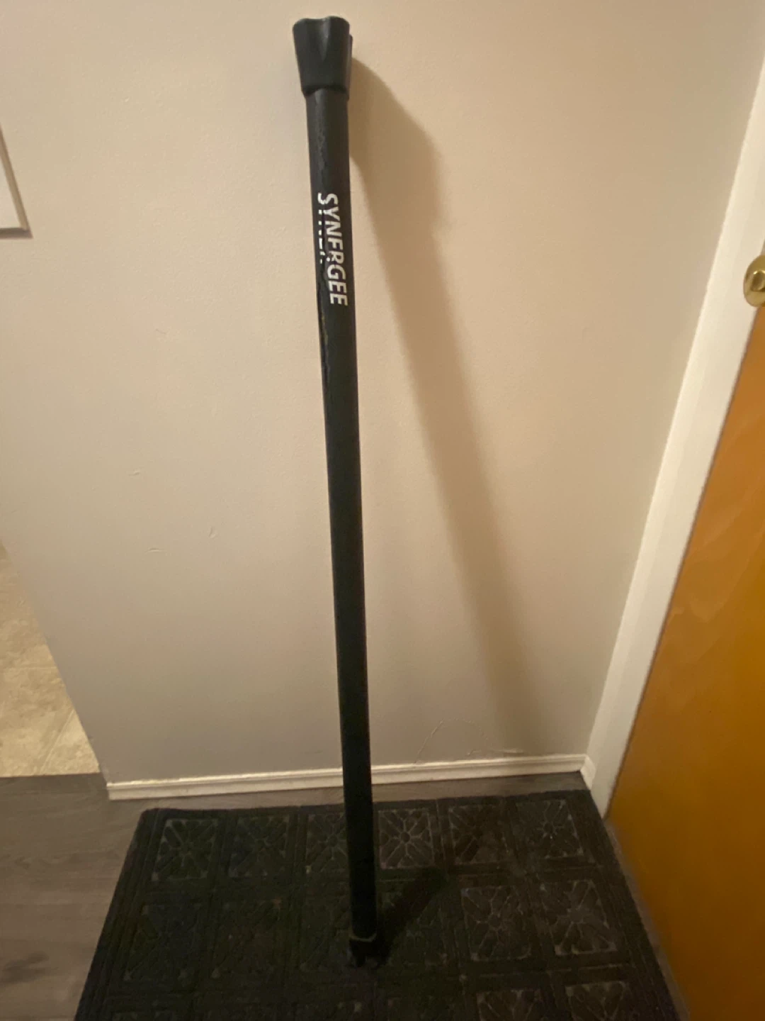 20 lb Gym Weight