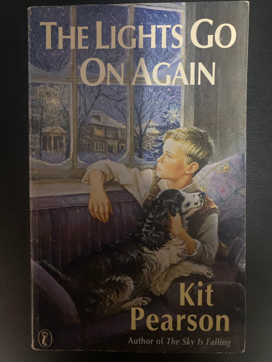 The Lights Go On Again ⚽️ by Kit Pearson