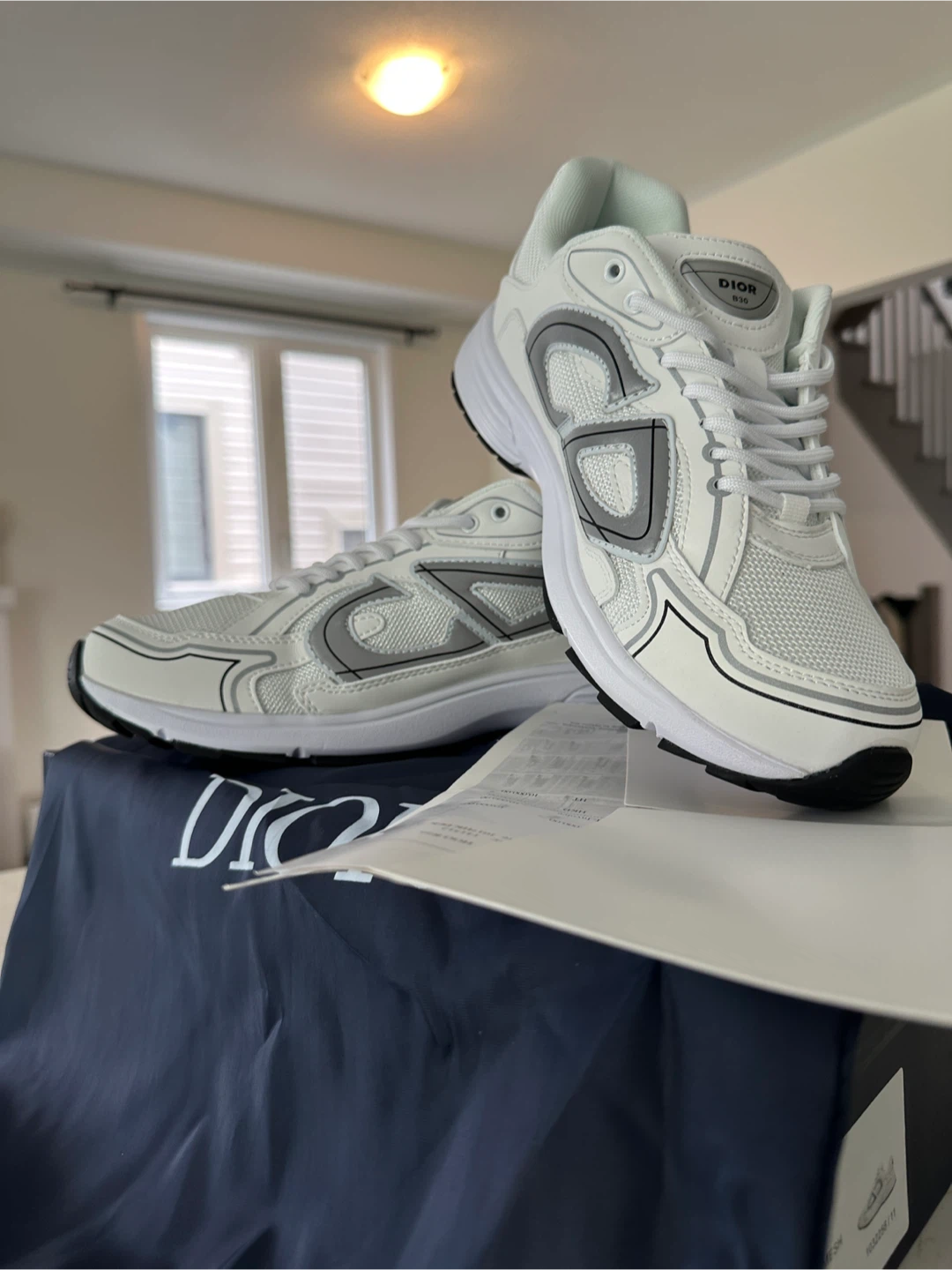 Dior B30 Sneakers