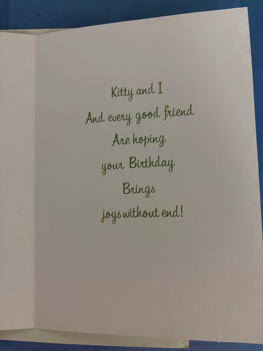 ⚽️Happy Birthday Card with Cat Illustration - photo 2