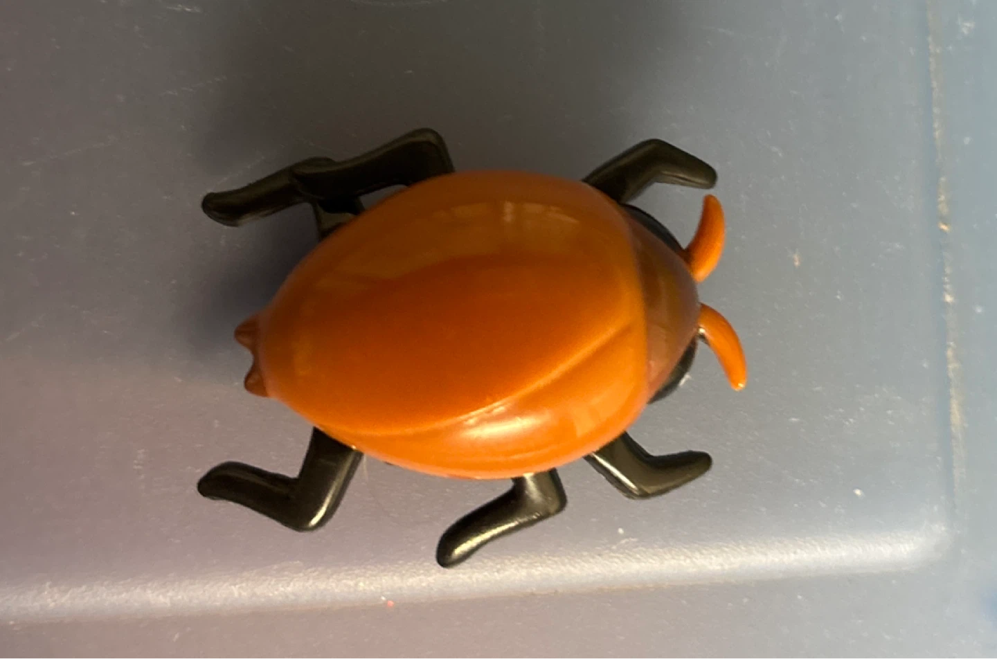 ⚽️Orange Toy Bug