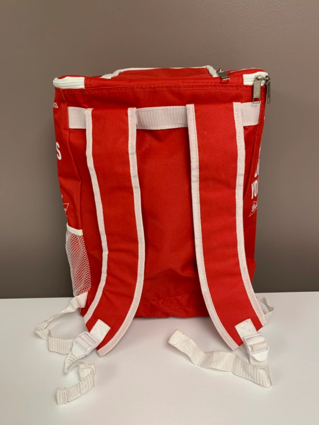 ⚽️ Budweiser 24 Can Cooler Backpack - photo 4