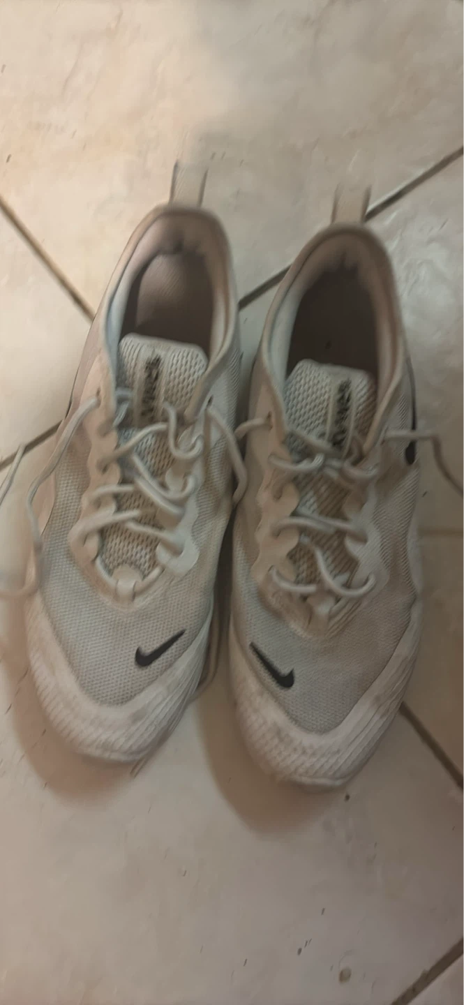Nike Air Max Shoes