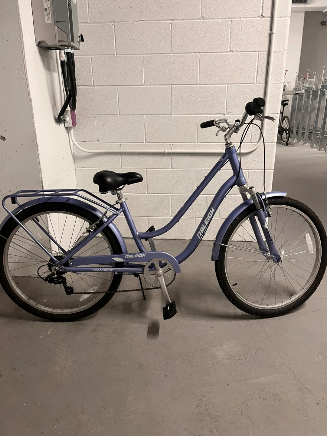 Raleigh Bicycle - Purple