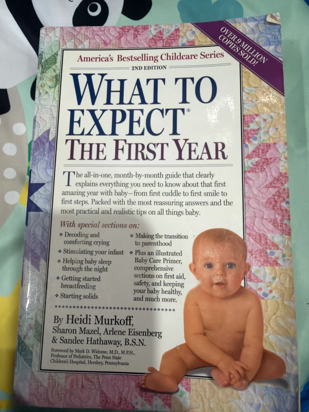 What to Expect The First Year Babycare Book