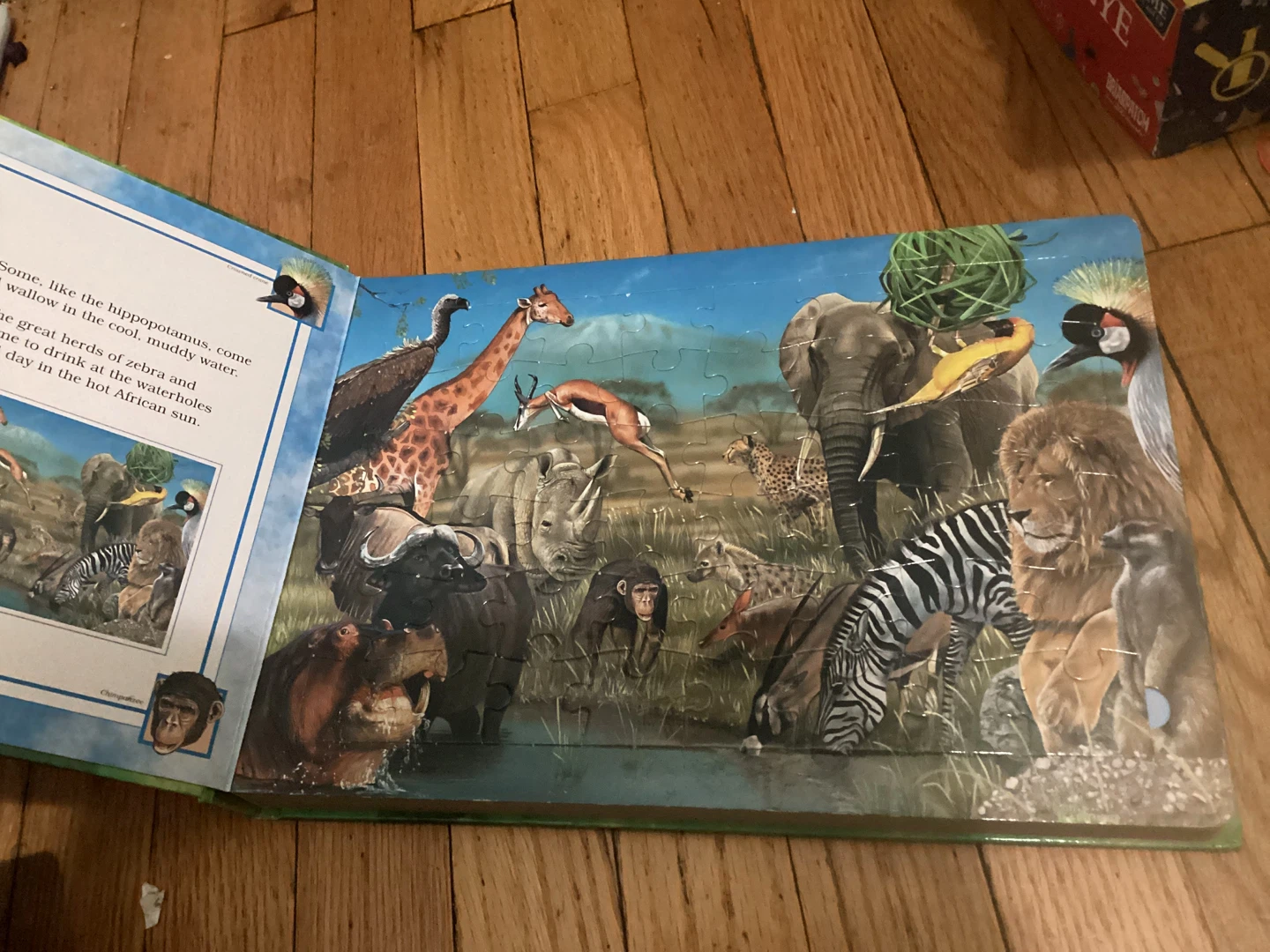 ⚽️Garry Fleming's Animals of the World Jigsaw Book - photo 3