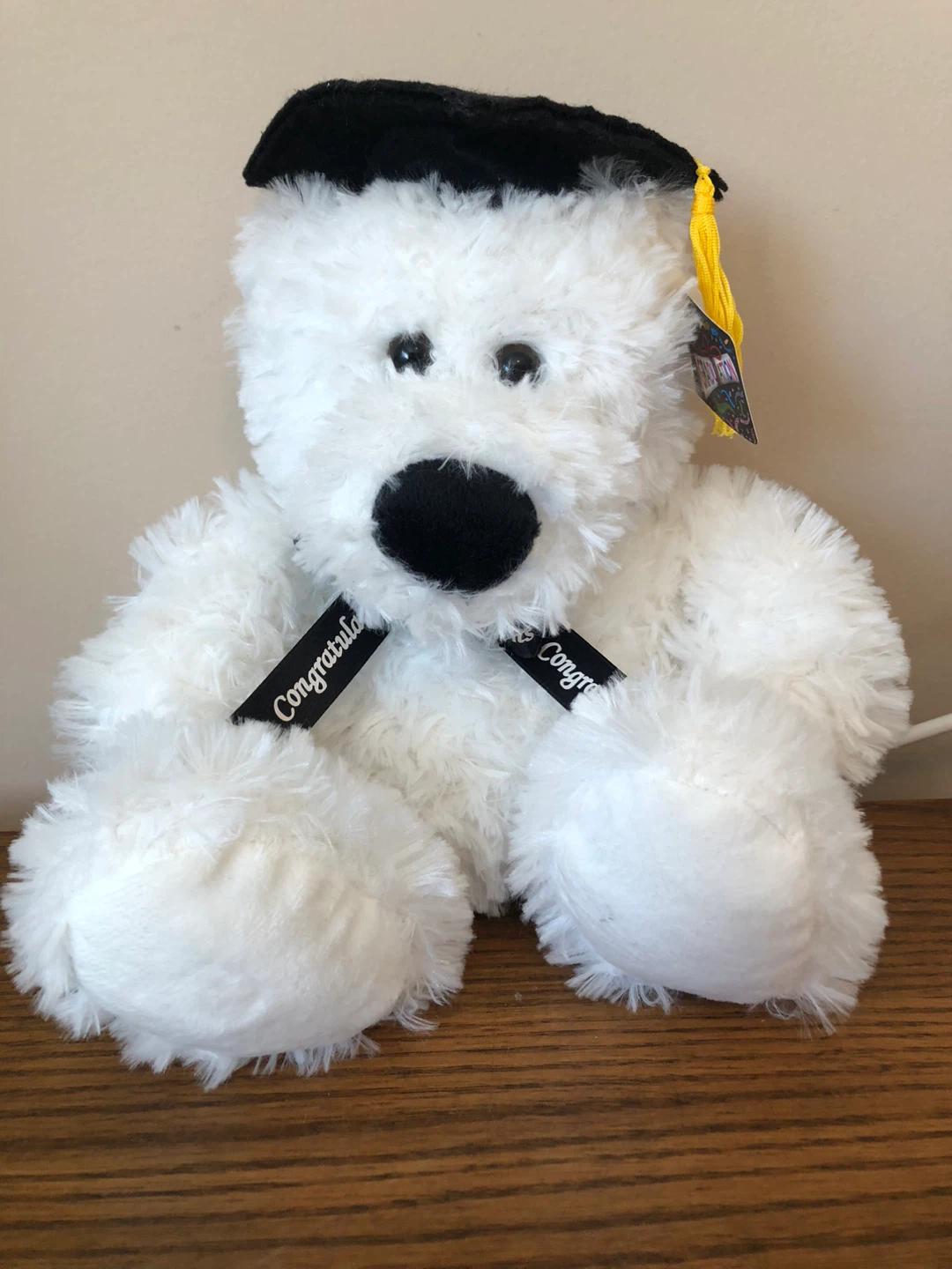 New Graduation Teddy Bear - photo 2