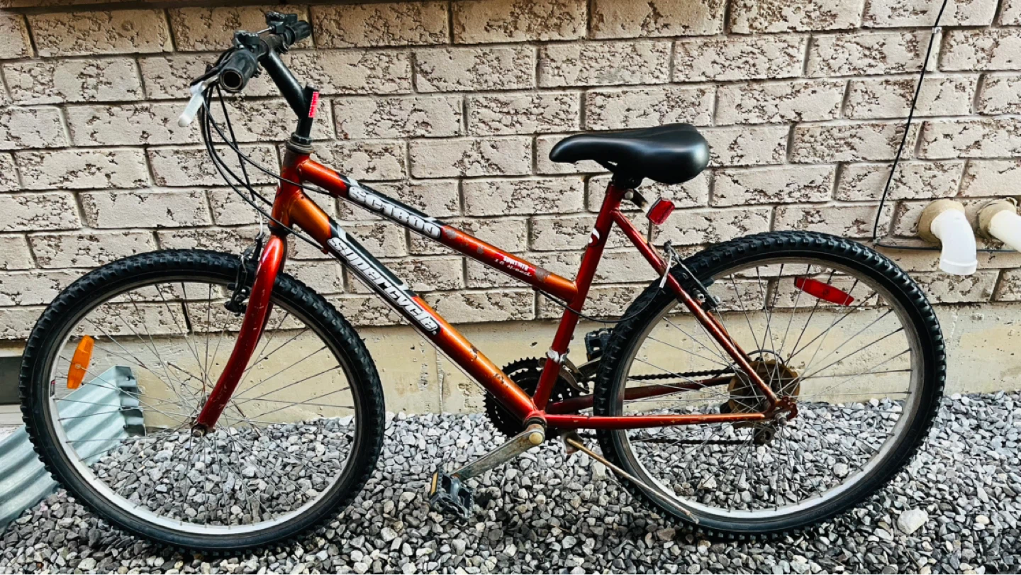 Supercycle Mountain Bike