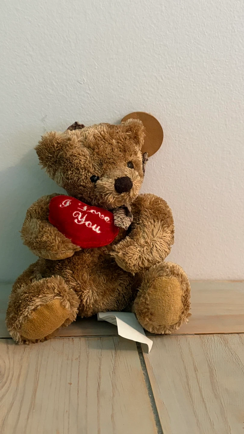 Brown Teddy Bear ⚽ - photo 2