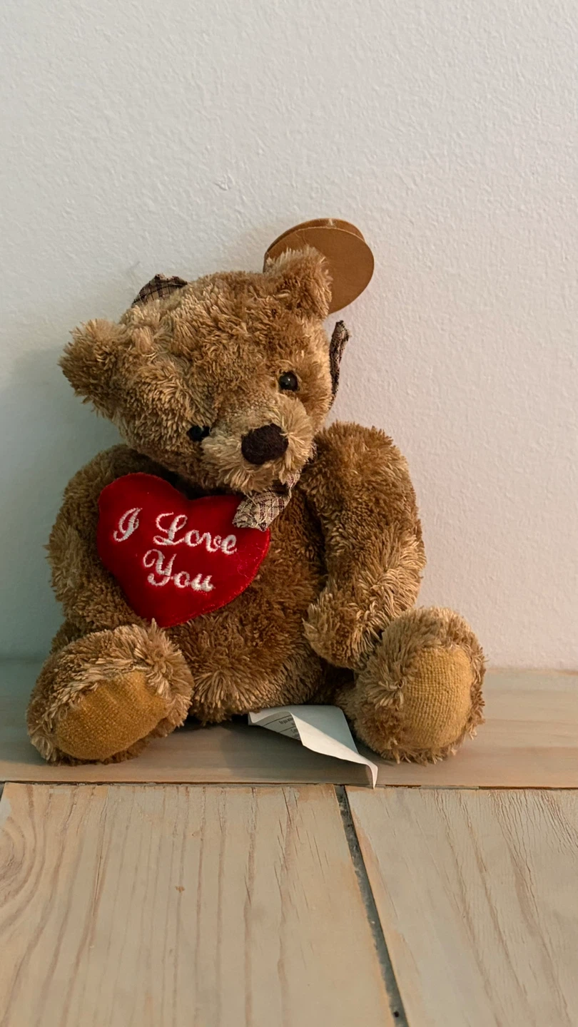 Brown Teddy Bear ⚽