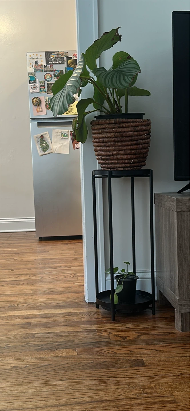 Double tiered plant stand - black