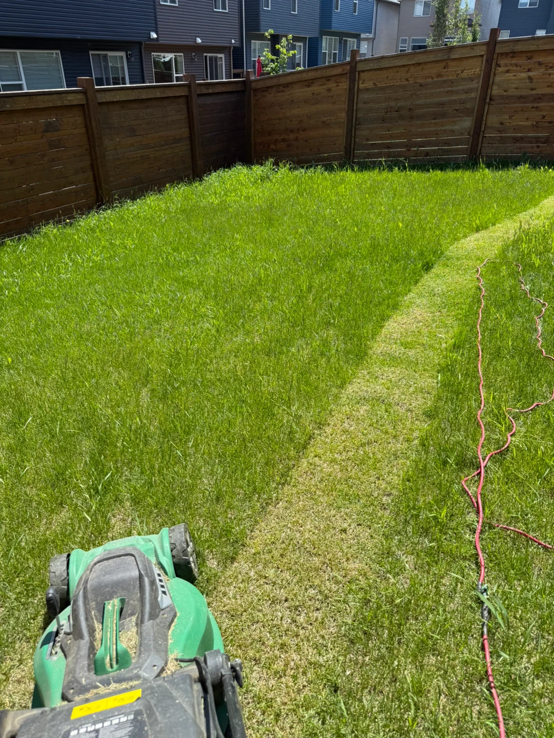 grass cutting services