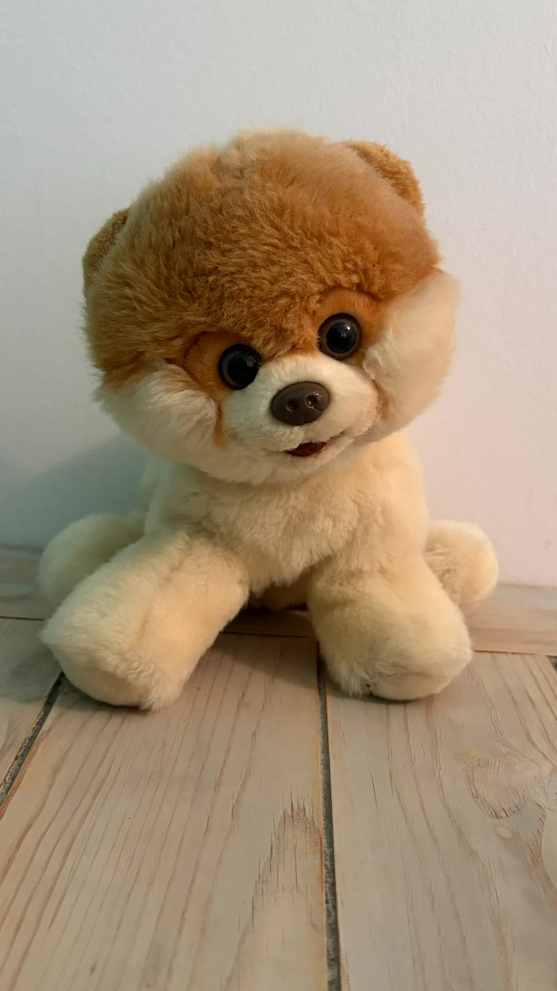 Boo Dog Plush Toy ⚽️