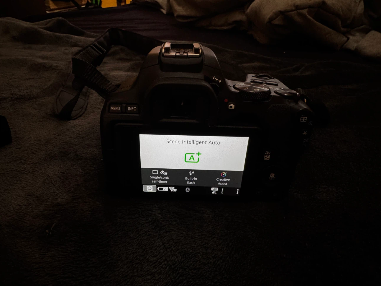 Canon EOS Rebel SL3 DSLR Camera - photo 3