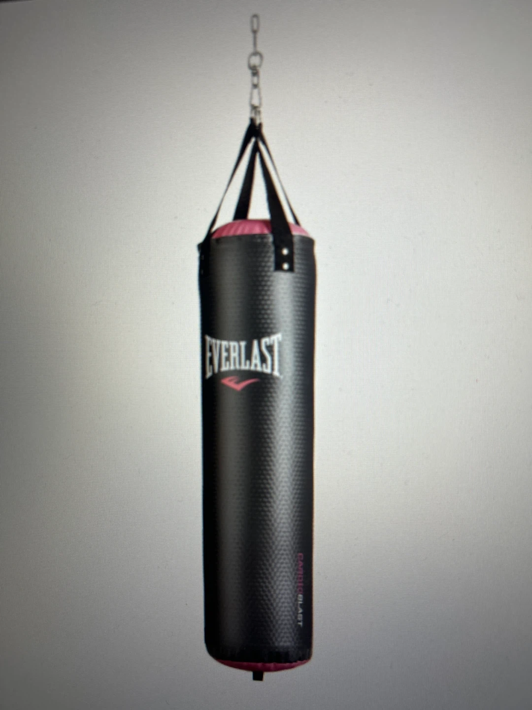 Everlast Cardio Blast 40lb Punching Bag