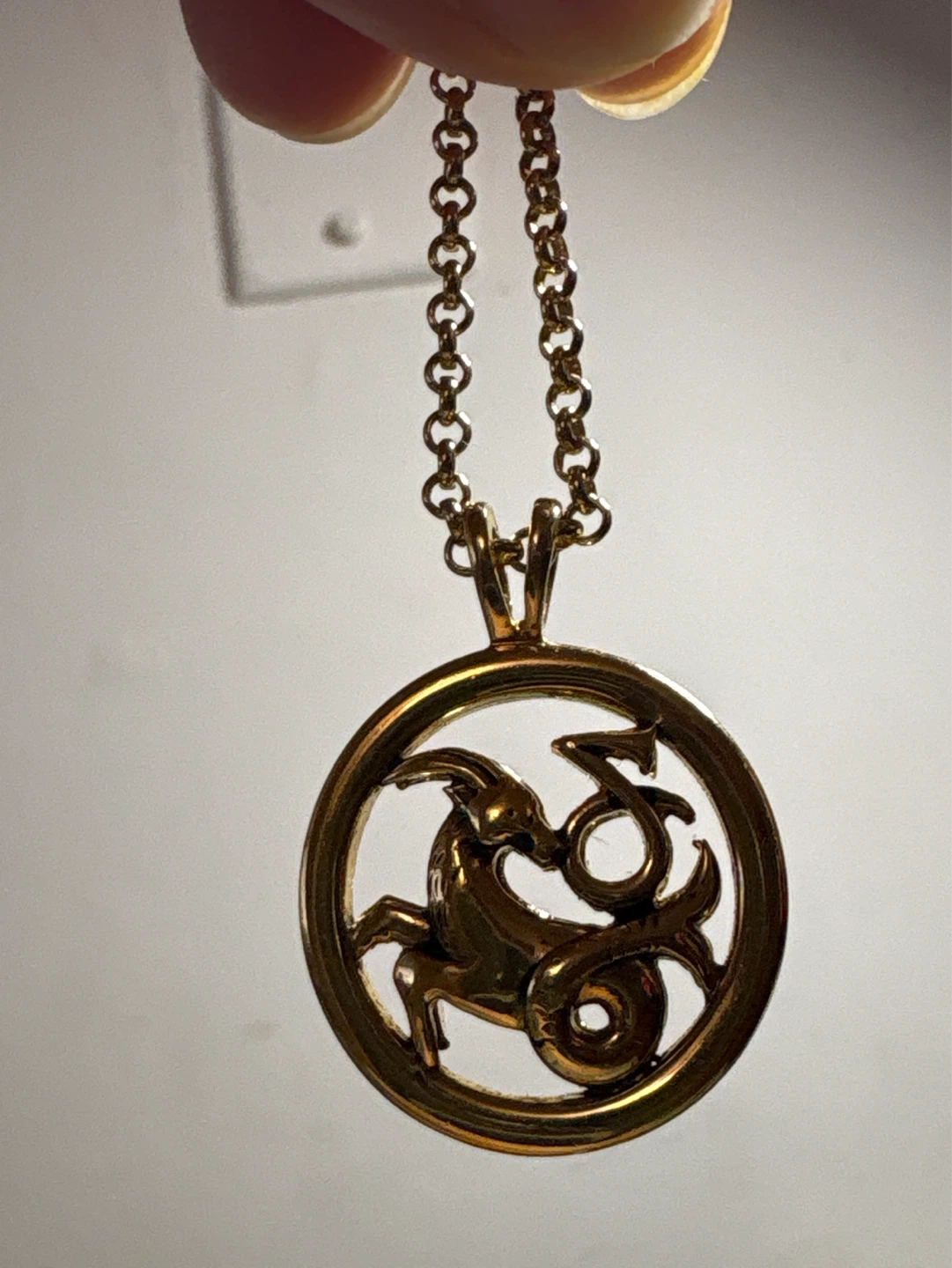⚽ Vintage JRGold-tone Zodiac double sided Capricorn Necklace