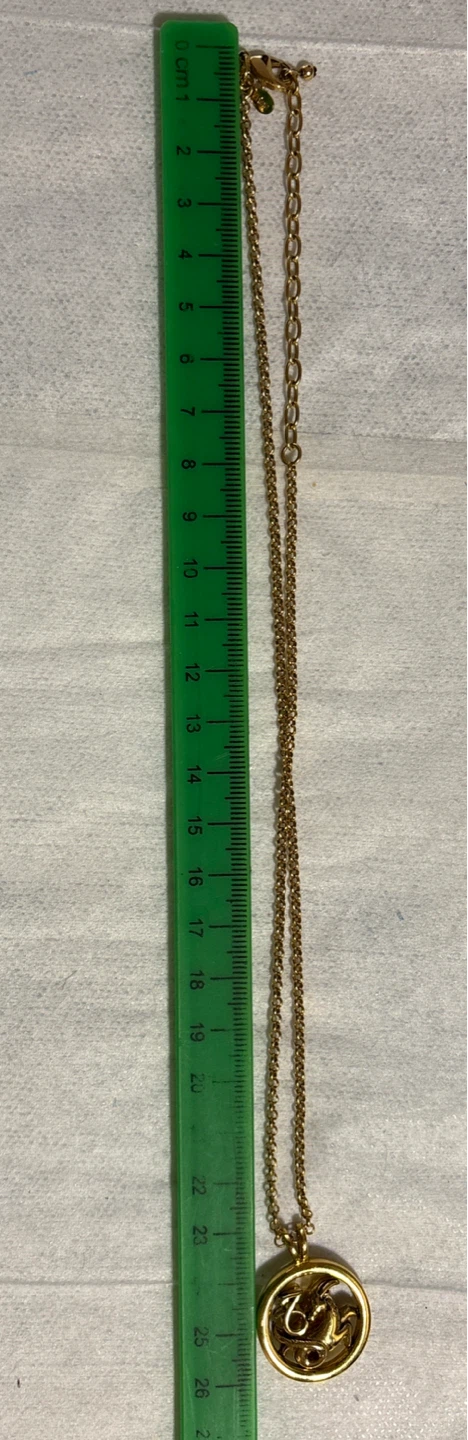 ⚽ Vintage JRGold-tone Zodiac double sided Capricorn Necklace - photo 3