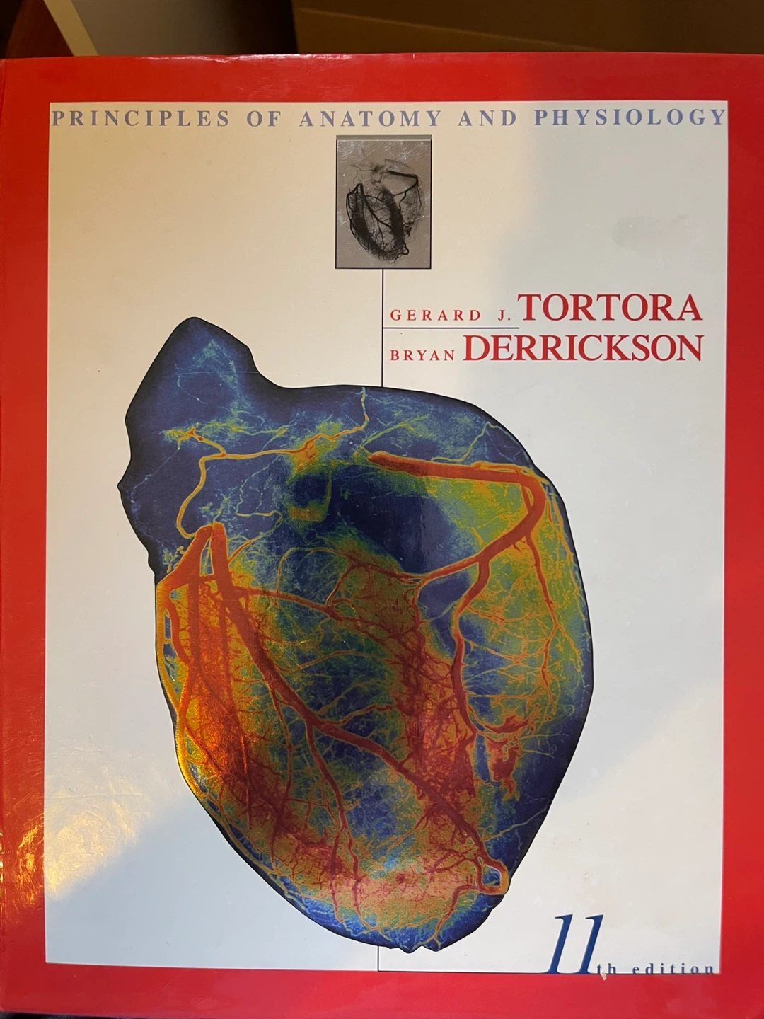 Principles of Anatomy and Physiology, Eleventh Edition Textbook