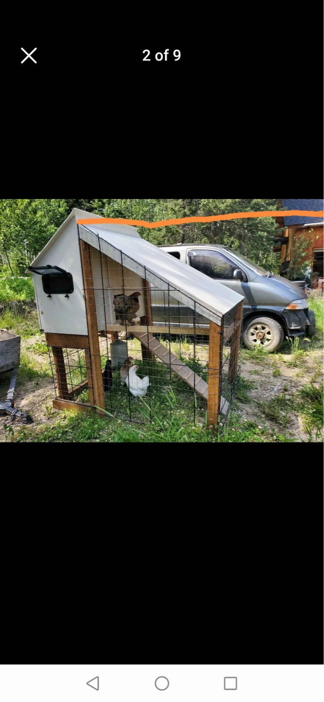 Chicken Coop / Rabbit Hutch