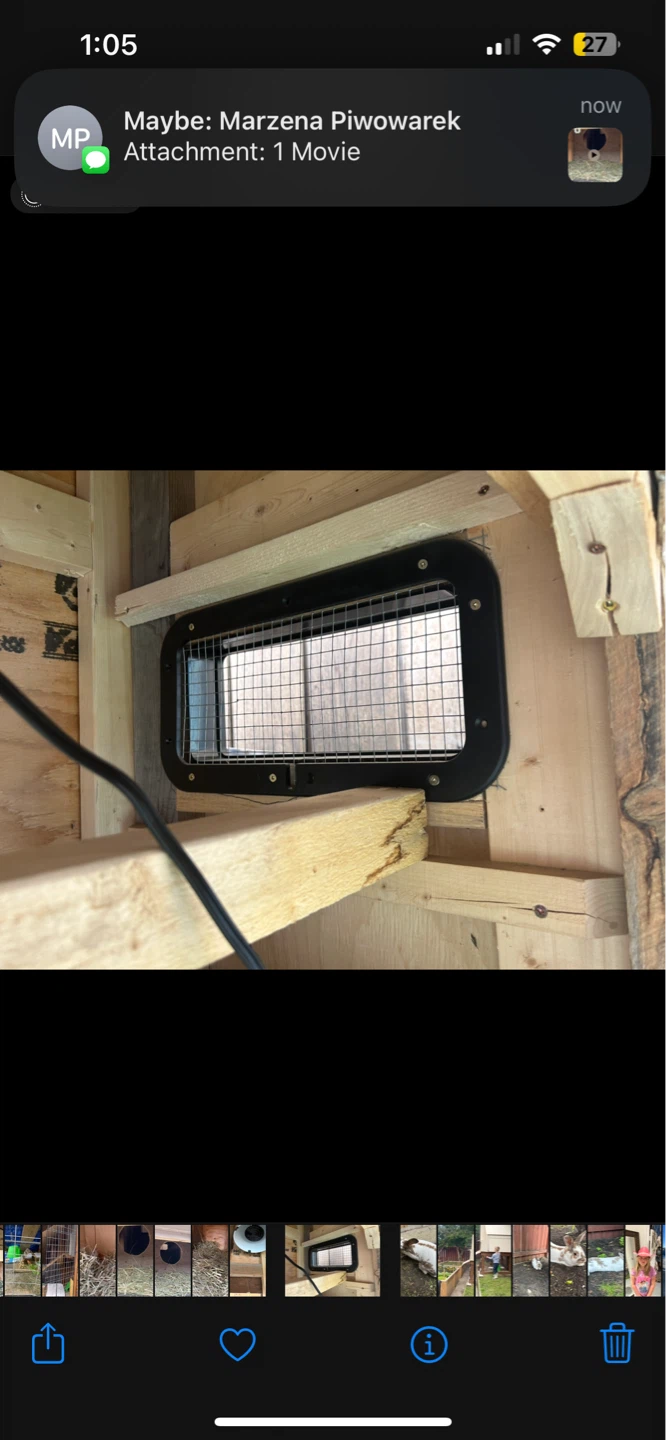 Chicken Coop / Rabbit Hutch - photo 5