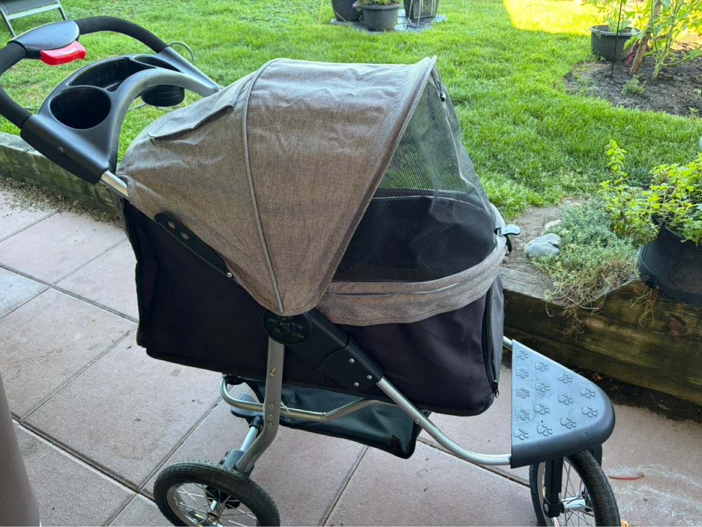 Dog Buggy