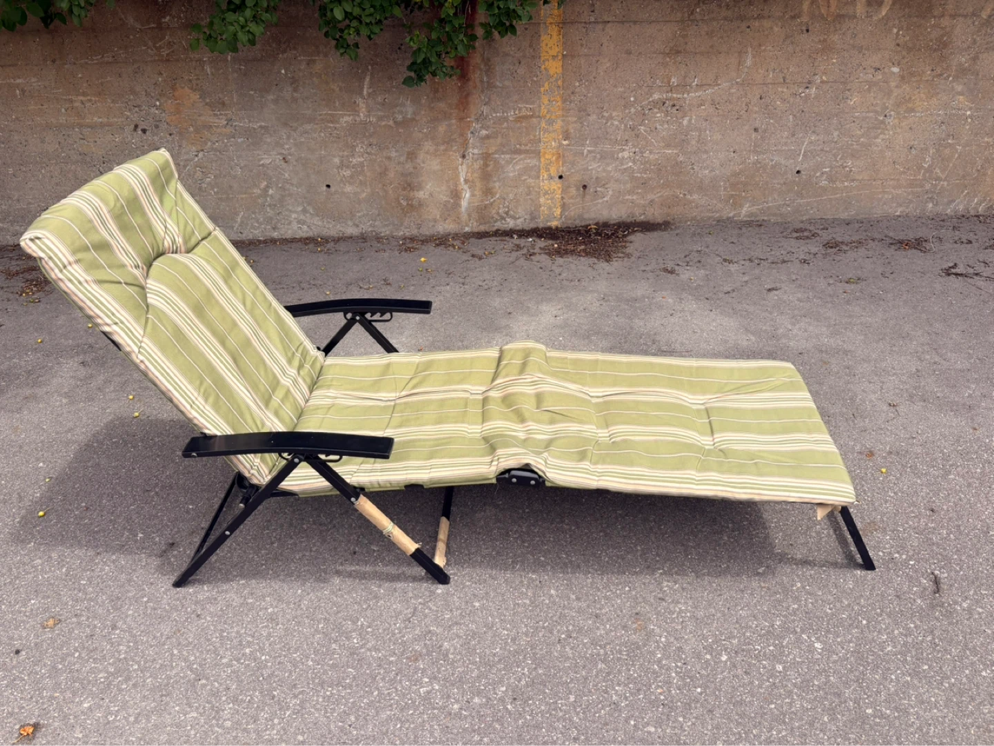 ⚽ Green Striped Chaise Lounge Chair - photo 3