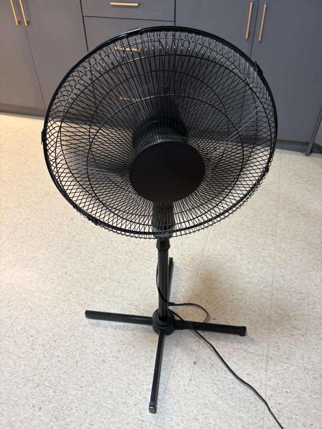 Black Standing Fan