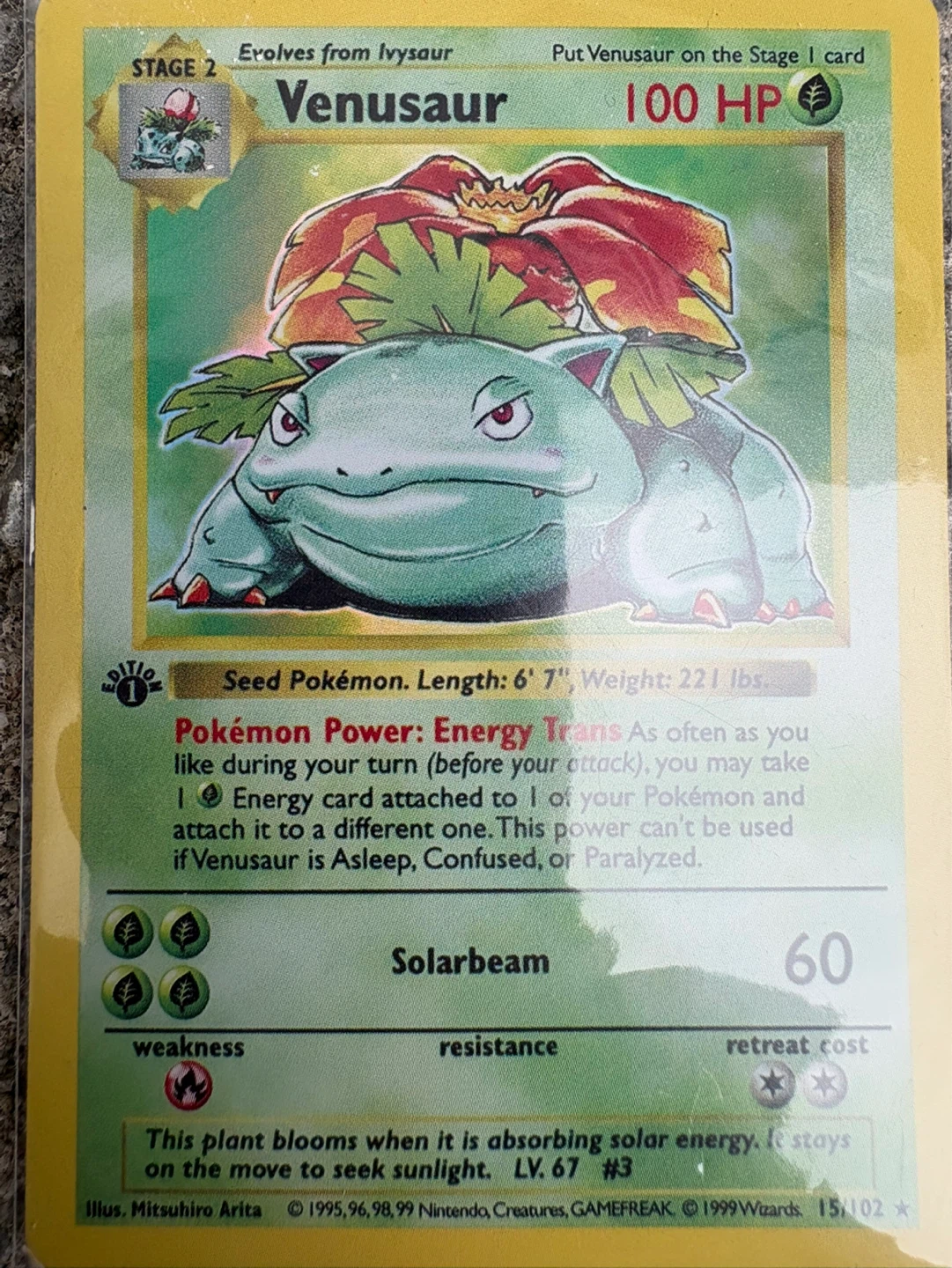 Pokémon Card Shadowless Venusaur