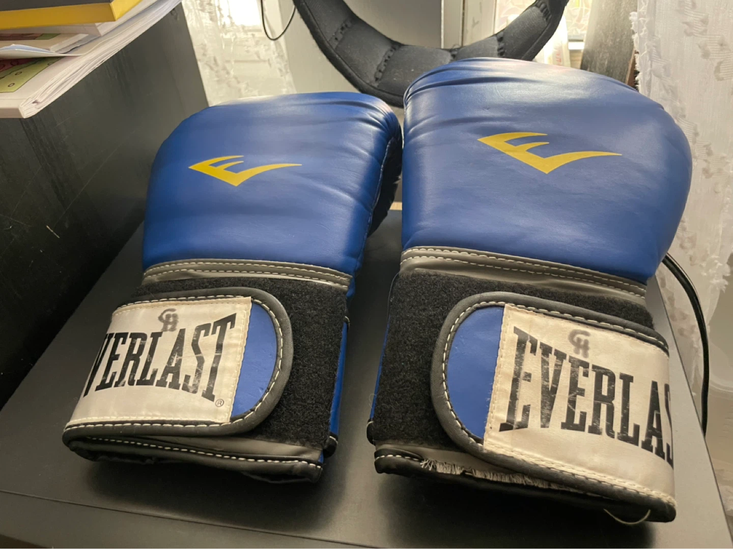 Everlast and Twins Special Boxing Gloves - photo 4