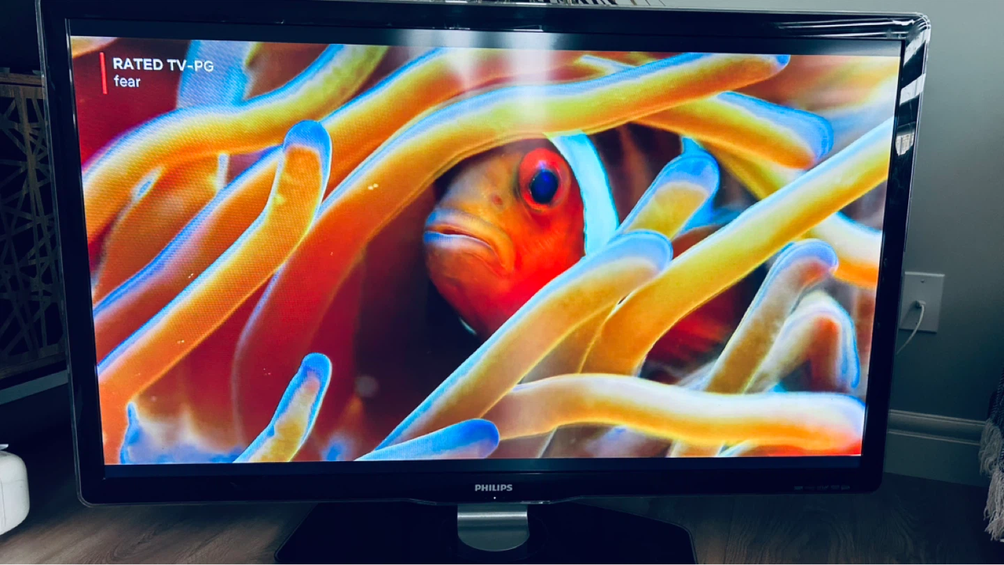 Philips 55” Full HD TV