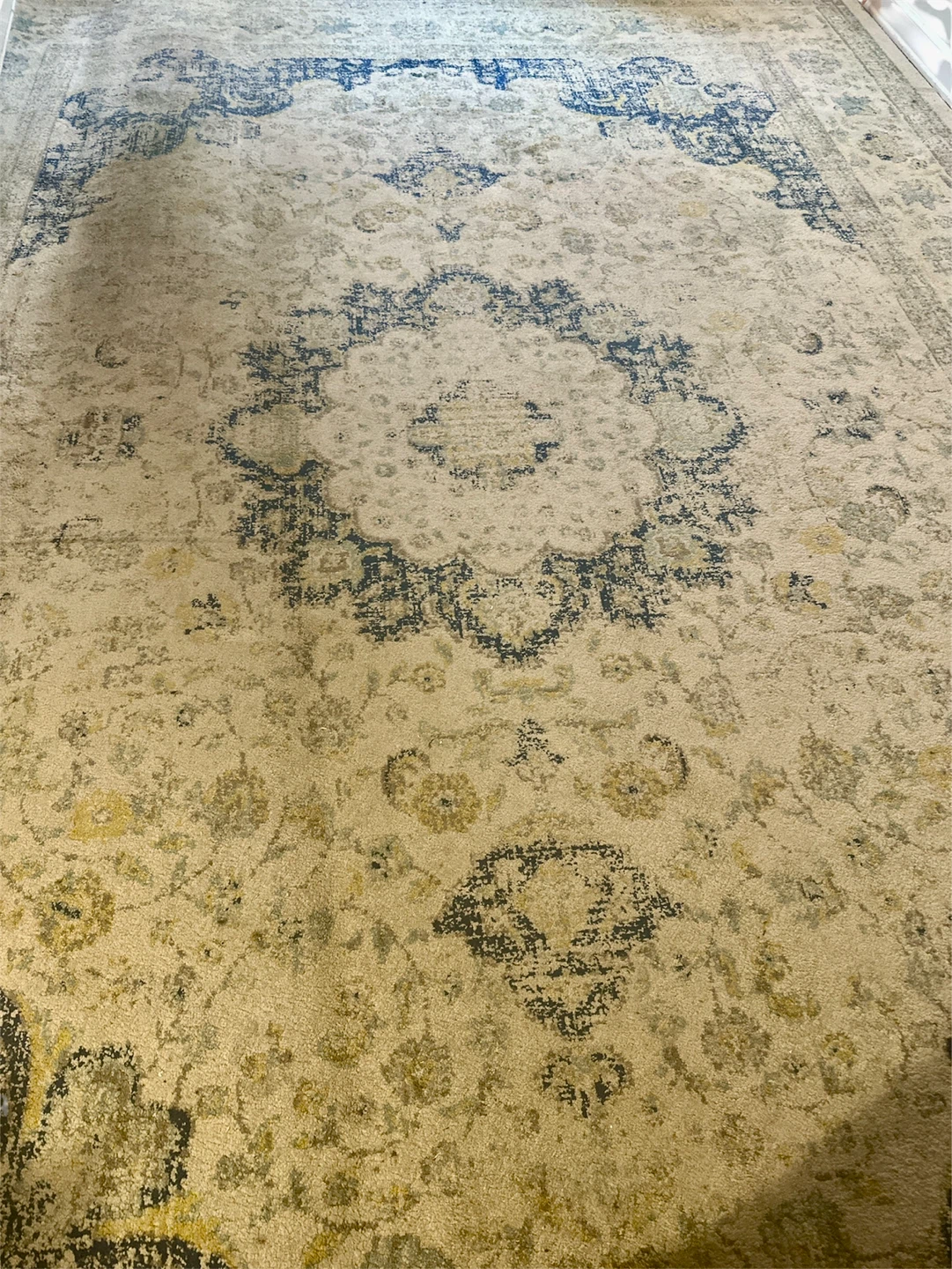 Large 10x14' Safavieh Area Rug - photo 2