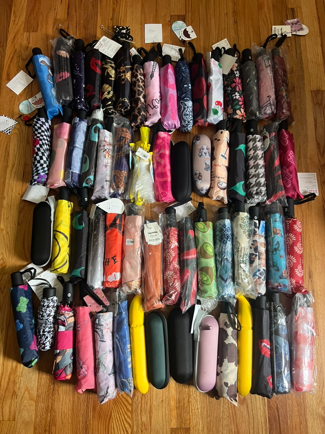 Assorted Compact Umbrellas with Cases