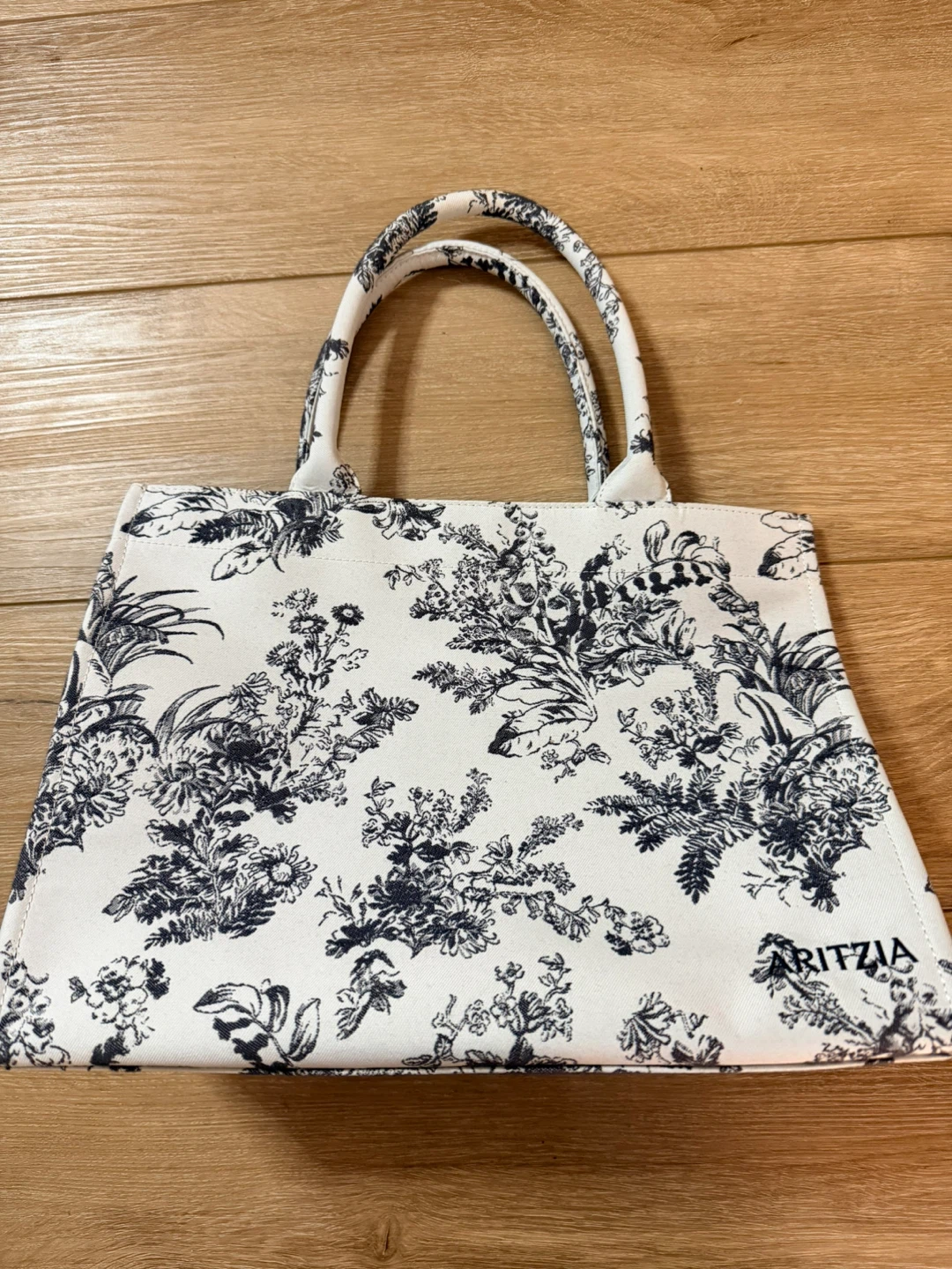 Aritzia Tote Bag
