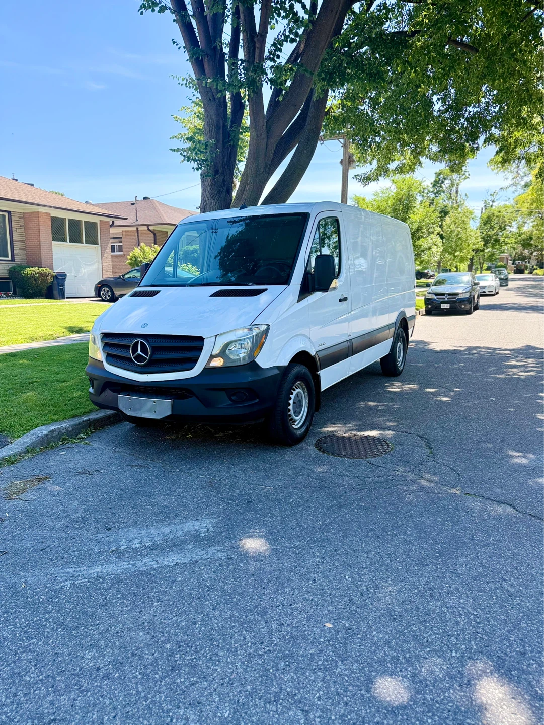White Mercedes-Benz Sprinter Cargo Van