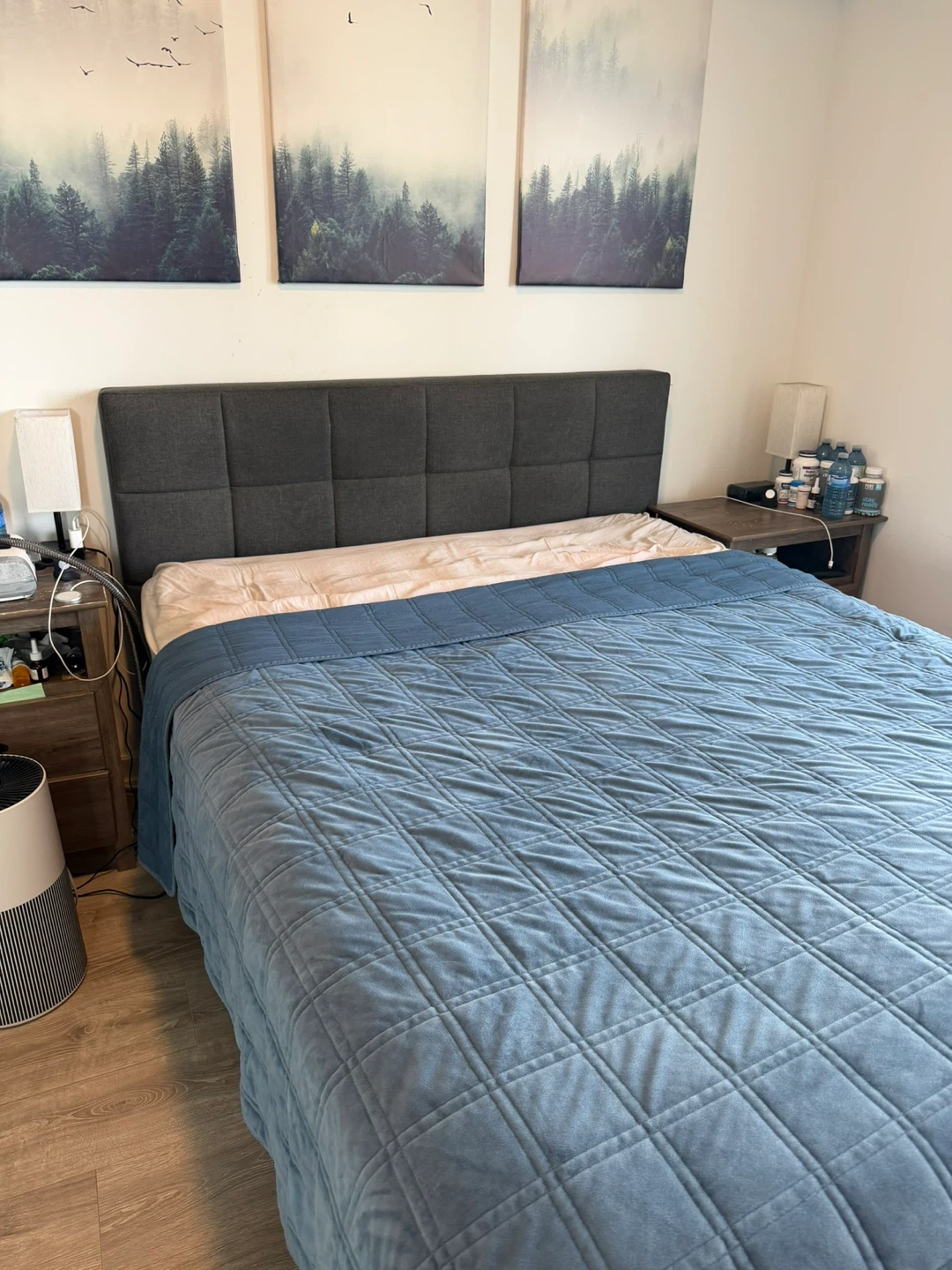 Queen Bed - Wayfair