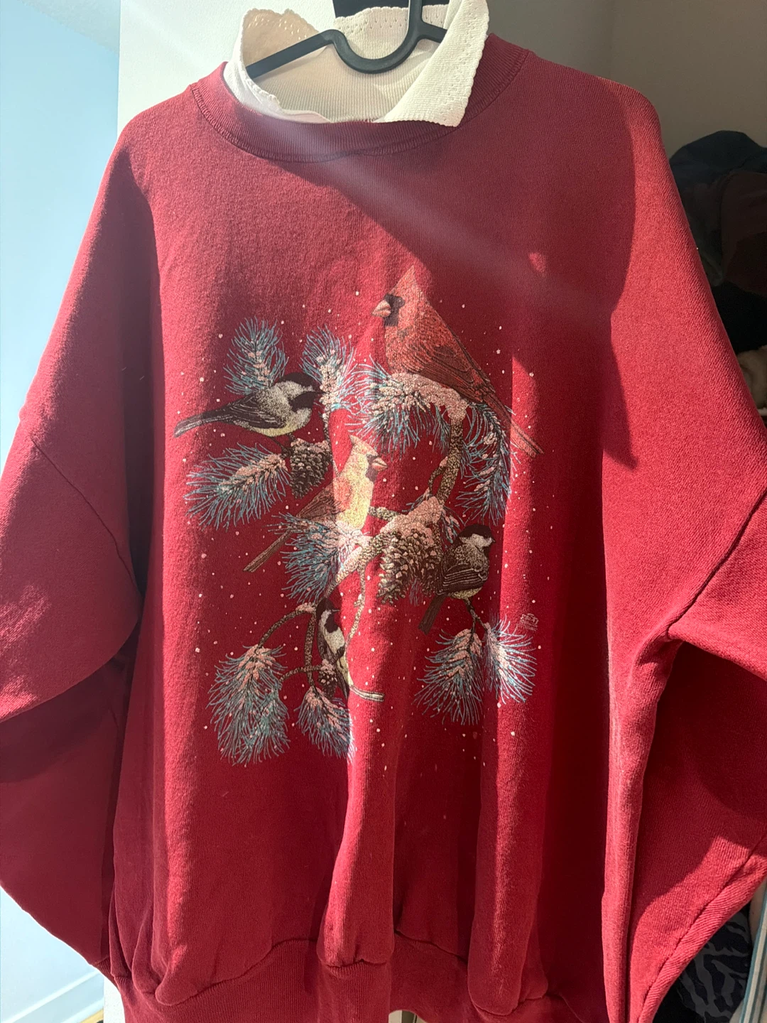 Red bird Sweatshirt