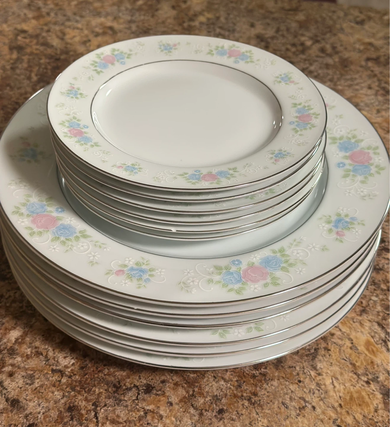 Universal China Garden Prestige Dinner Plates