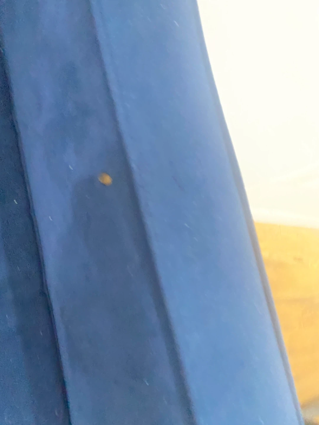 Blue Velvet West Elm Couch, W110s pickup - photo 3