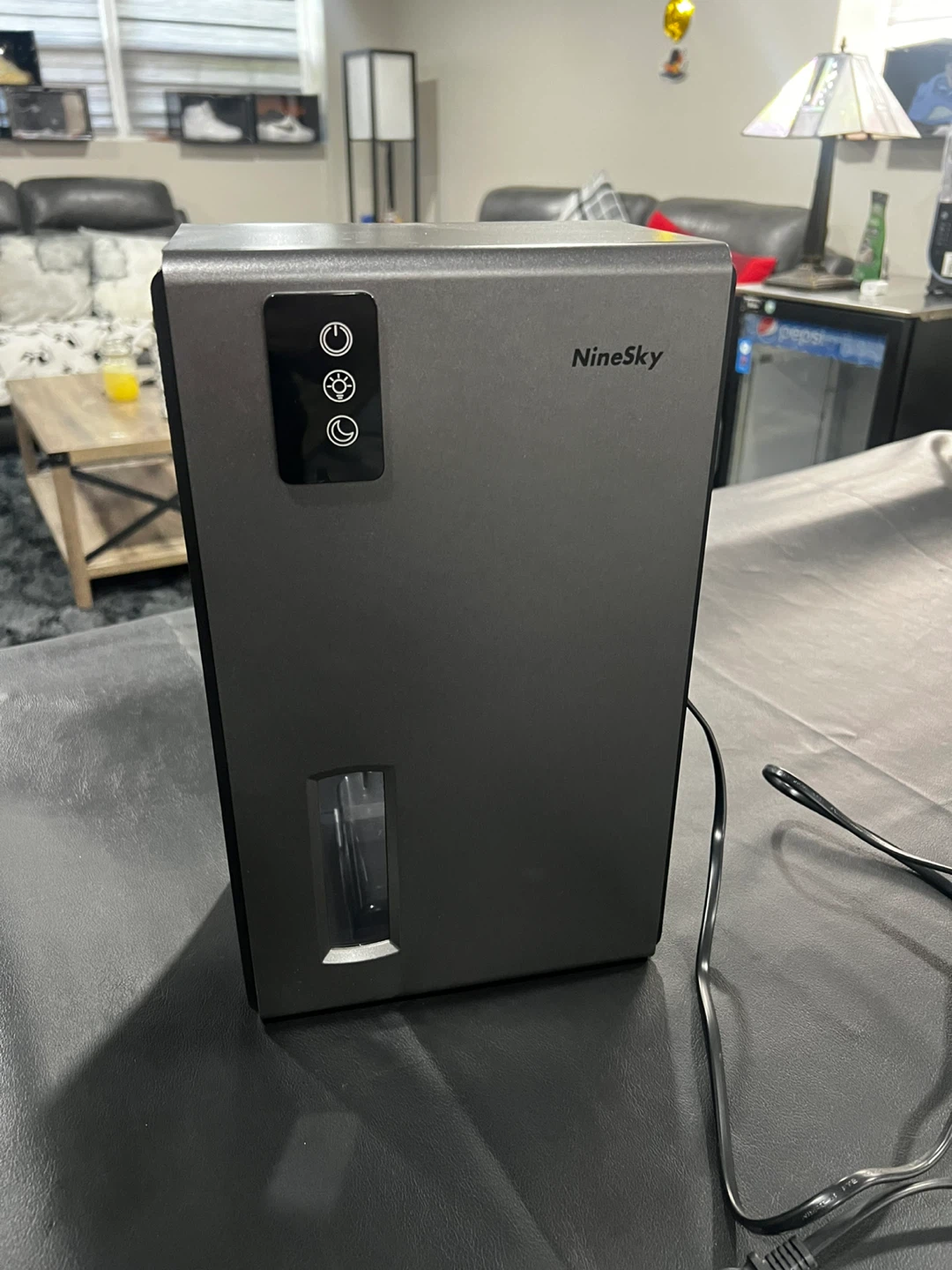 NineSky Dehumidifier for 1000sqft
