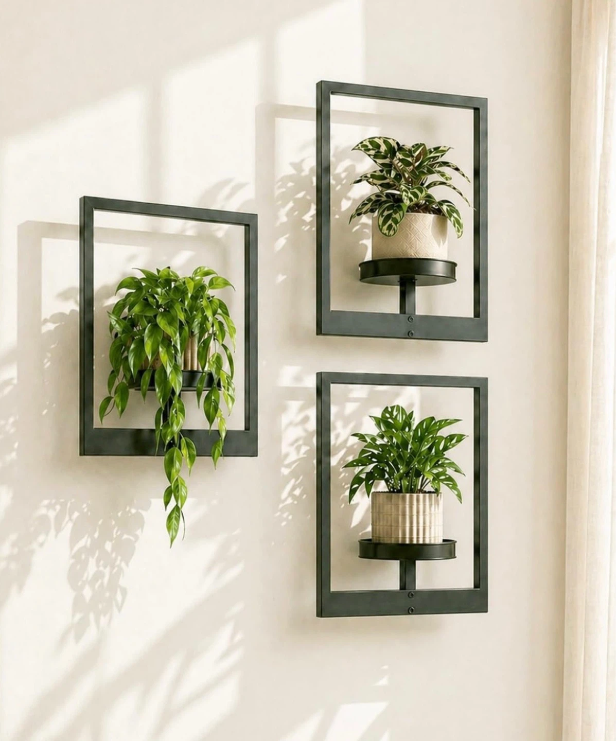 Plant Holder Shelves (Pack of 3) - photo 2